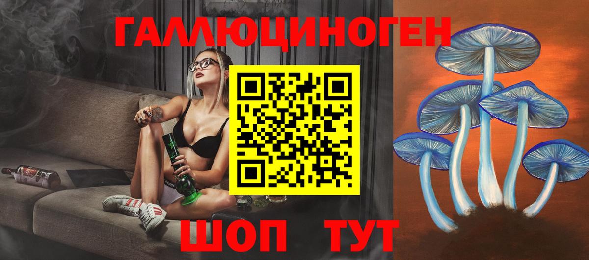 где продают   Псилоцибиновые грибы MAGIC MUSHROOMS  Галлюциногенные грибы прущие грибы  Вход с VPN  Соль-Илецк 